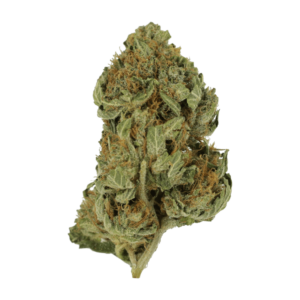 GrassLife - Bubba
