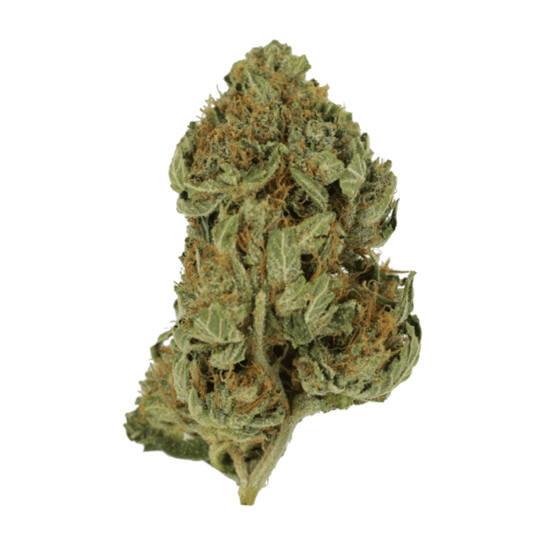 GrassLife - Bubba