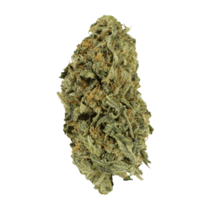 Grass Death Bubba