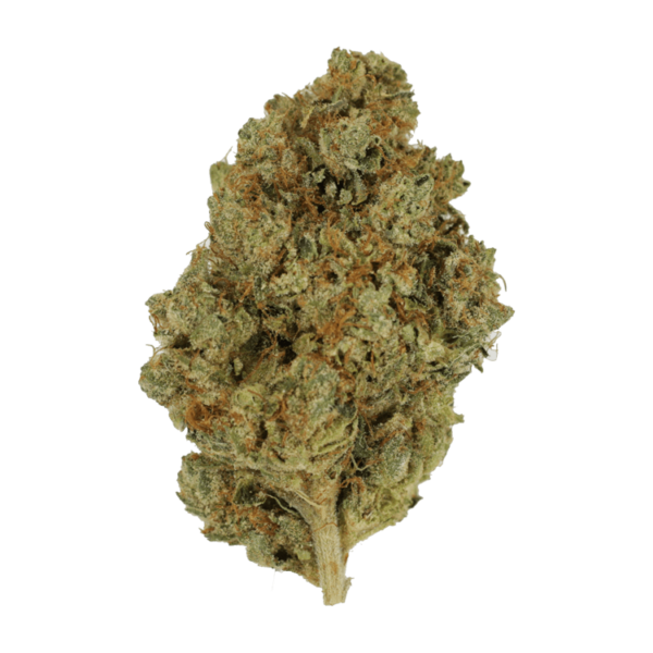 Grass - Alaskan Thunder Fuck - Sativa
