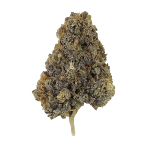 grass-purple-monkey-04-07-21