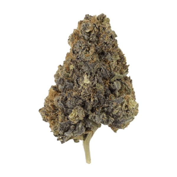 Grass---Purple-Monkey..04-07-21 grass-purple-monkey-04-07-21