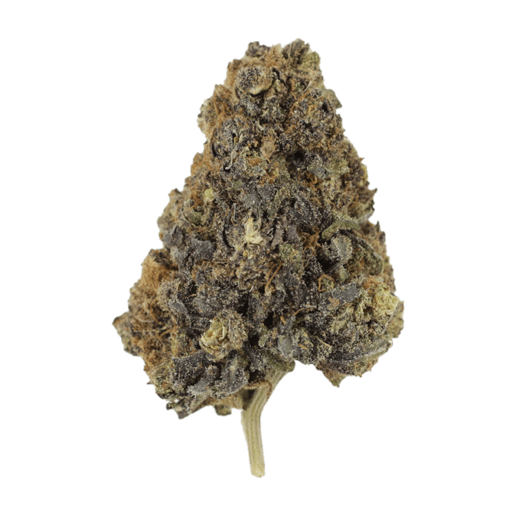 Grass---Purple-Monkey..04-07-21 grass-purple-monkey-04-07-21