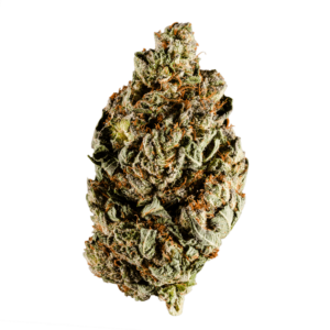 White Truffle