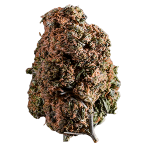 Love Potion
