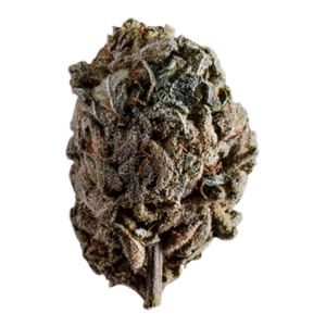 GrassLife - Pink Candy