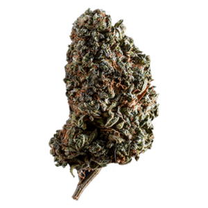 GrassLife - Uk cheese