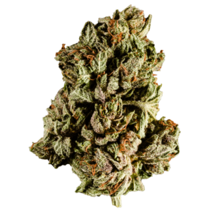 Purple Frost (HYBRID)