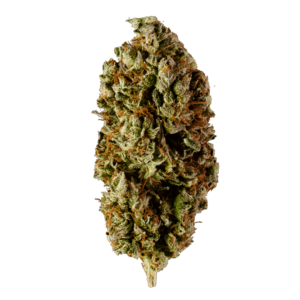 grass_flower_mango-haze