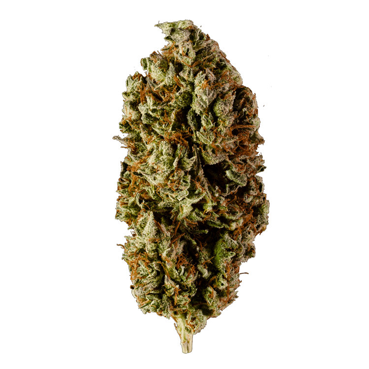 GrassLife - flower mango haze