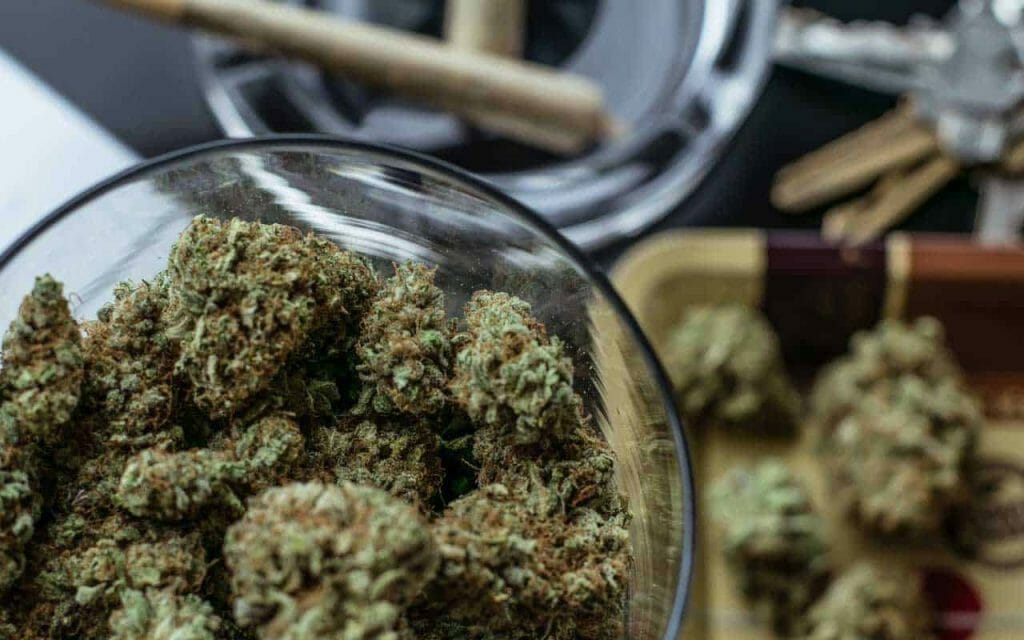 Premium Weed vs Affordable Weed