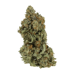 Bruce Banner #3