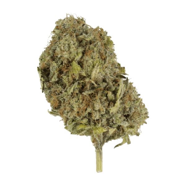 Grass - Chemo