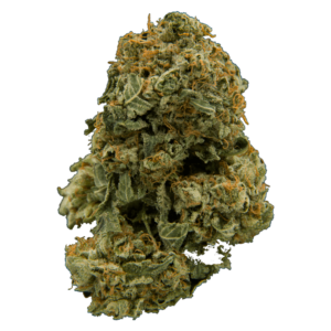 grass-flower-G13