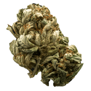 grass_flower_chernobyl