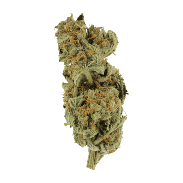 Gorilla Glue