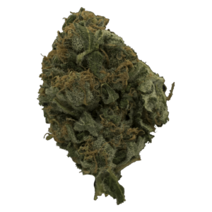 grass-flower-choc_o