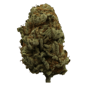 Grass - Hempster