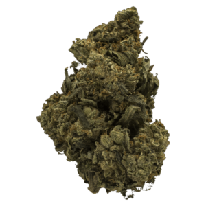Grass Jack Herer
