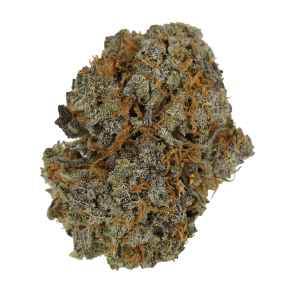 Grass Jack Herrer