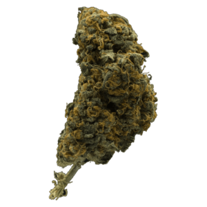 GrassLife - BC CBD