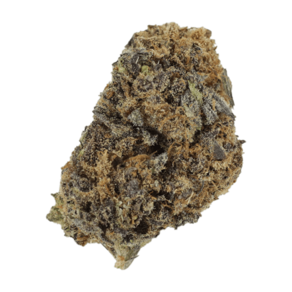 Grass - Purple Gorilla
