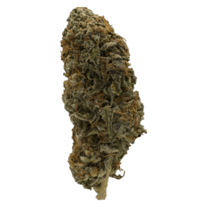 Grass-flower-Sky_Master