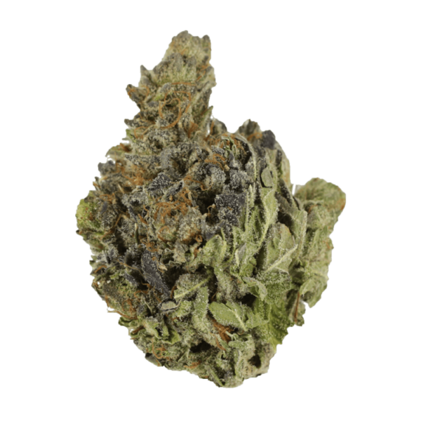 Grass Chocolope