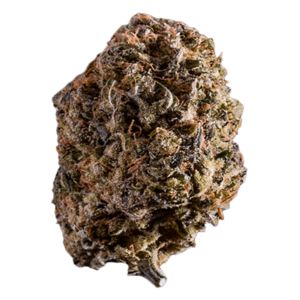 grass-flower-orange_romulan