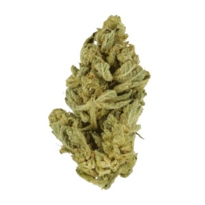 GrassLife - Hindhu Kush