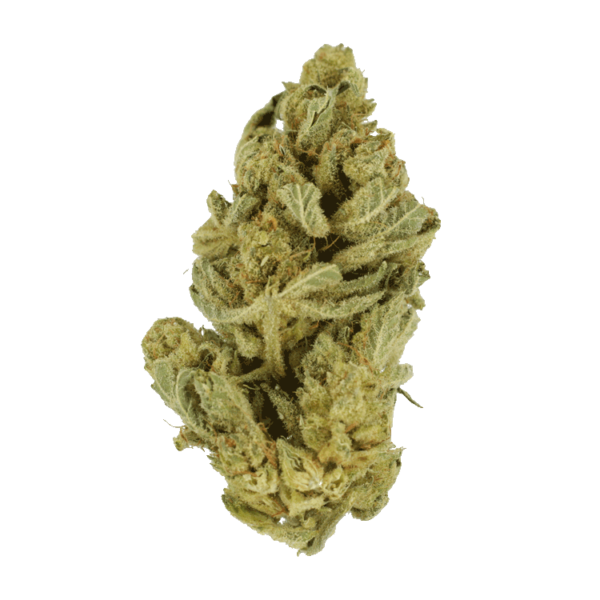 GrassLife - Hindhu Kush
