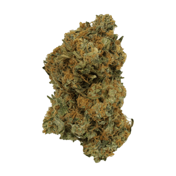 Grass - Mimosa