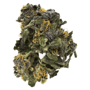 GrassLife - Blue Skunk
