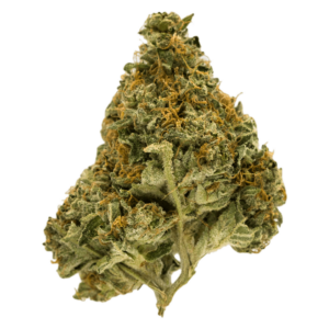Grass Orange Cookies