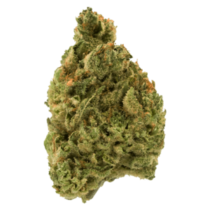 Grass - Violator Kush