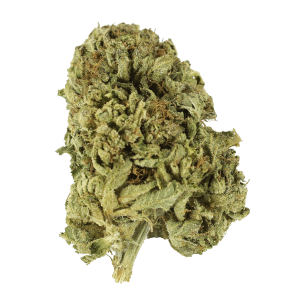 GrassLIfe - G1