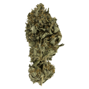 GrassLife - Holly Weed