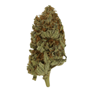 GrassLife - Hashplant