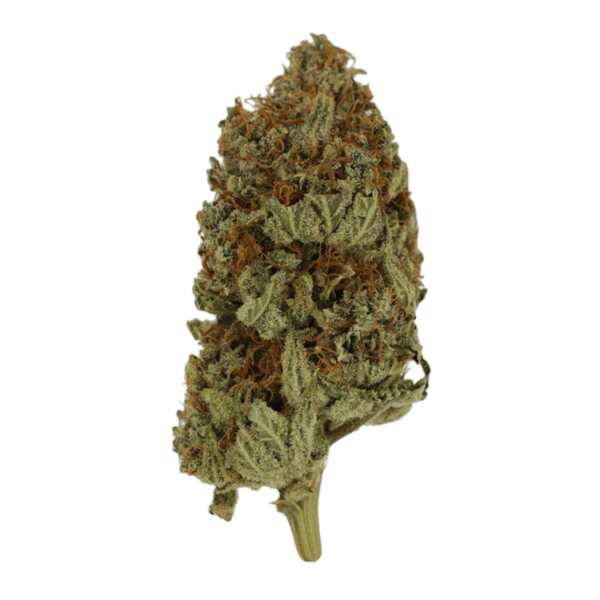 GrassLife - Hashplant