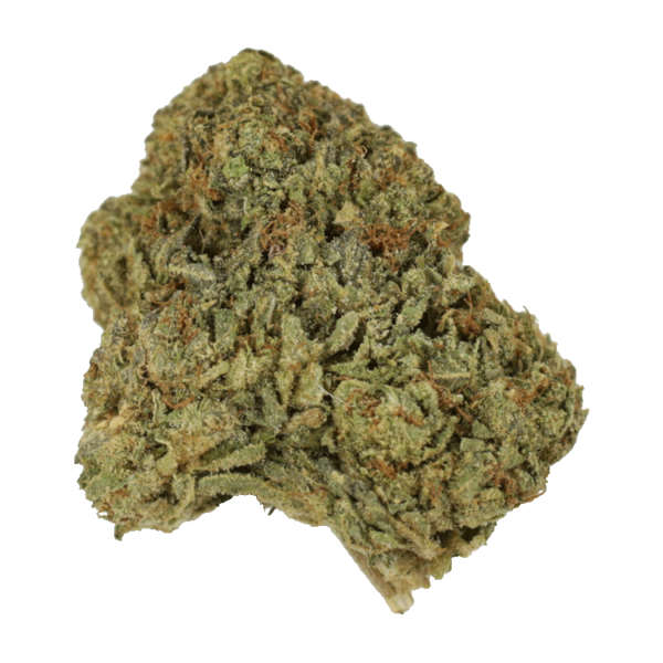 grass-bubba-24-06-22