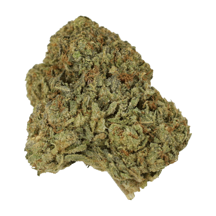 grass-bubba-24-06-22