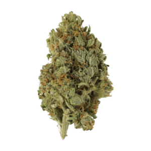 GrassLife - Sugar Cookie