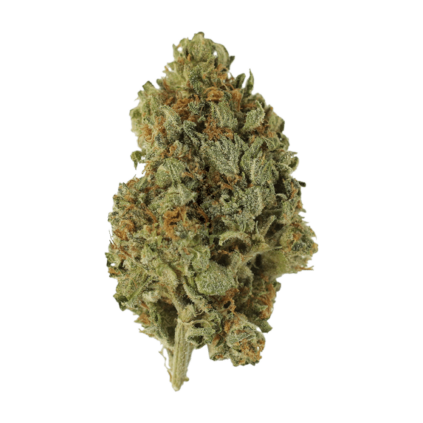 GrassLife - Sugar Cookie