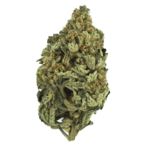 Grass - Baker Street