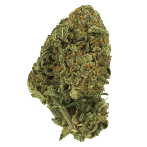 Black Nuken