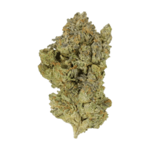 GrassLife - Golden Goat