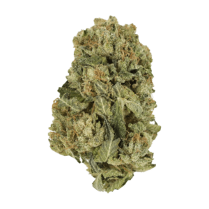 Grass - Black Domina