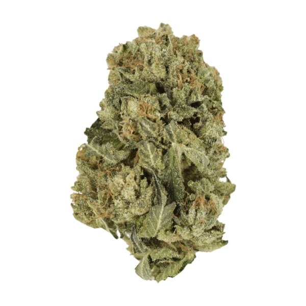 Grass - Black Domina