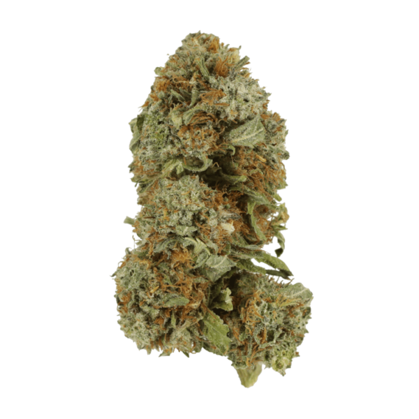 GrassLife Mango