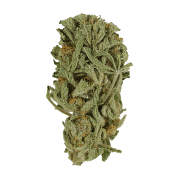 GrassLife - Master Kush